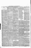 Wexford People Saturday 26 November 1892 Page 10