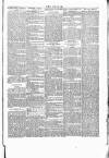 Wexford People Saturday 31 December 1892 Page 7