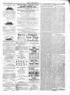 Wexford People Wednesday 18 January 1893 Page 3