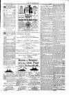 Wexford People Saturday 28 January 1893 Page 3