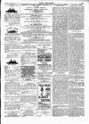 Wexford People Wednesday 15 February 1893 Page 3