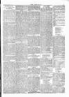 Wexford People Wednesday 15 February 1893 Page 5