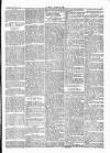 Wexford People Wednesday 15 February 1893 Page 7