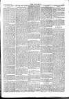 Wexford People Saturday 18 February 1893 Page 5