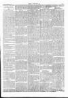 Wexford People Saturday 25 February 1893 Page 7