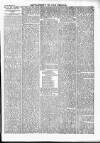 Wexford People Saturday 25 February 1893 Page 11