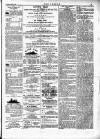 Wexford People Saturday 04 March 1893 Page 3