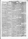 Wexford People Saturday 04 March 1893 Page 11