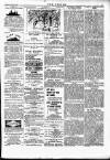 Wexford People Wednesday 08 March 1893 Page 3