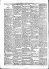 Wexford People Saturday 11 March 1893 Page 10