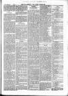 Wexford People Saturday 11 March 1893 Page 11