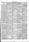 Wexford People Wednesday 15 March 1893 Page 5
