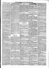 Wexford People Saturday 25 March 1893 Page 11