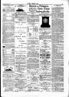 Wexford People Saturday 29 April 1893 Page 3