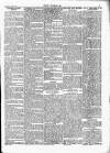 Wexford People Saturday 29 April 1893 Page 5