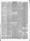 Wexford People Saturday 29 April 1893 Page 7