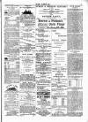 Wexford People Saturday 13 May 1893 Page 3