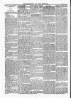 Wexford People Saturday 13 May 1893 Page 10