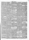 Wexford People Wednesday 24 May 1893 Page 5