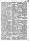 Wexford People Saturday 27 May 1893 Page 5