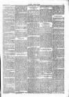 Wexford People Saturday 27 May 1893 Page 7