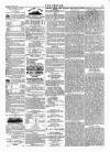Wexford People Saturday 24 June 1893 Page 3
