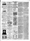 Wexford People Wednesday 28 June 1893 Page 3