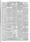 Wexford People Saturday 26 August 1893 Page 11