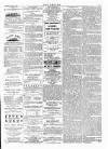 Wexford People Wednesday 30 August 1893 Page 3