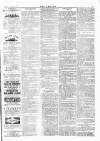 Wexford People Wednesday 29 November 1893 Page 3