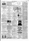 Wexford People Wednesday 17 January 1894 Page 3