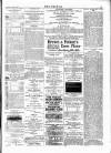 Wexford People Saturday 27 January 1894 Page 3