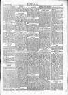 Wexford People Saturday 27 January 1894 Page 5