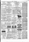 Wexford People Saturday 24 February 1894 Page 3