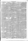 Wexford People Saturday 24 February 1894 Page 7