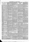 Wexford People Saturday 24 February 1894 Page 10