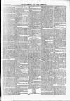 Wexford People Saturday 24 February 1894 Page 11