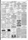 Wexford People Saturday 17 March 1894 Page 3