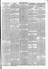 Wexford People Saturday 17 March 1894 Page 5