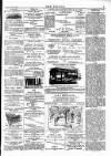 Wexford People Wednesday 28 March 1894 Page 3