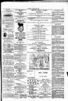 Wexford People Wednesday 06 June 1894 Page 3