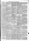 Wexford People Saturday 23 June 1894 Page 11