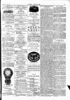 Wexford People Wednesday 27 June 1894 Page 3