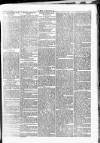 Wexford People Saturday 21 July 1894 Page 7