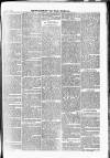 Wexford People Saturday 21 July 1894 Page 11
