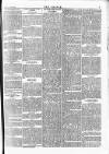 Wexford People Saturday 04 August 1894 Page 5