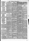 Wexford People Saturday 15 September 1894 Page 11