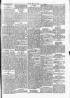 Wexford People Saturday 29 September 1894 Page 7