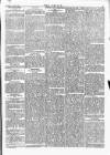 Wexford People Wednesday 03 October 1894 Page 5