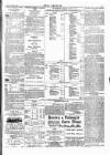 Wexford People Saturday 06 October 1894 Page 3